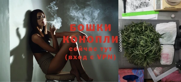 apvp Бородино