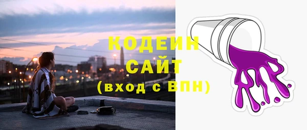 apvp Бородино