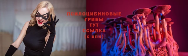 apvp Бородино