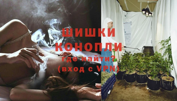 apvp Бородино