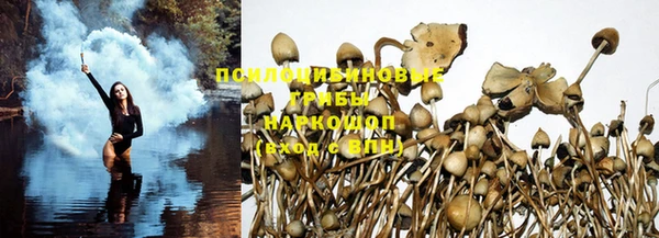 амф Бугульма