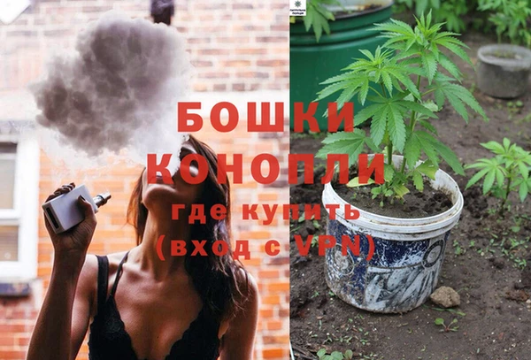 apvp Бородино