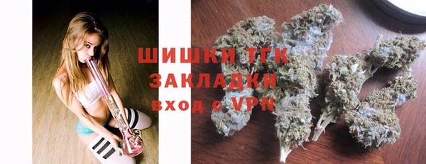 apvp Бородино
