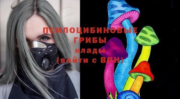 apvp Бородино