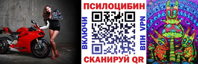 хочу   Туапсе  Псилоцибиновые грибы мицелий 